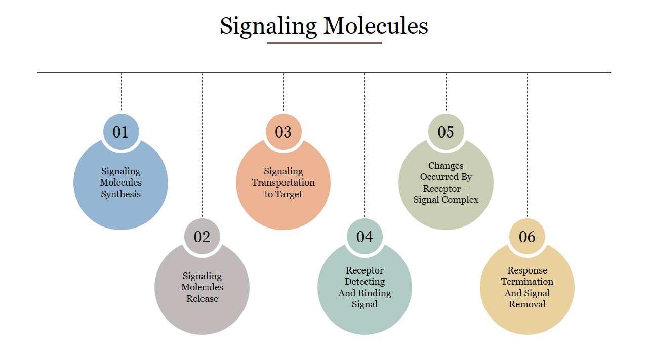 Signaling Molecules